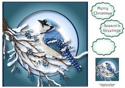 The Winter Bird
