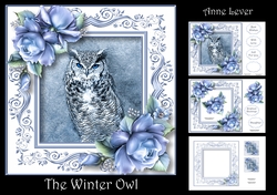 The Winter Owl