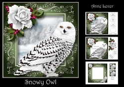 Snowy Owl