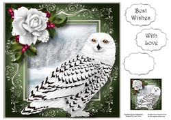 Snowy Owl 8x8