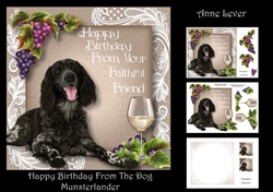 Happy Birthday From The Dog - Munsterlander
