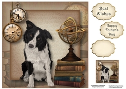 Male Themed Dogs - Border Collie 8x8