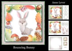 Bouncing Bunny