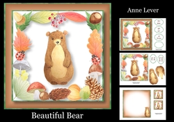 Beautiful Bear