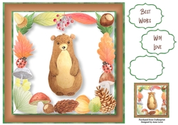 Beautiful Bear 8x8