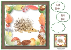 Huggable Hedgehog 8x8