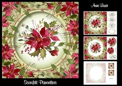 Scarlett Poinsettias