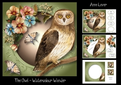 The Owl - Watercolour Wonder