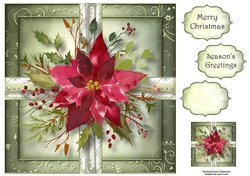 Scarlet Poinsettia Christmas Present 8x8