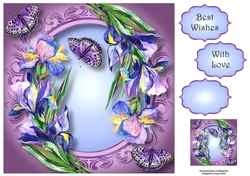 Iris & Butterflies - Watercolour Wonder 8x8