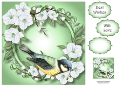 Blue Tit & Blossom - Watercolour Wonder 8x8