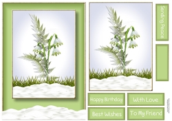 beautiful Snowdrops A5