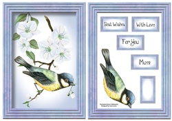 The Blue Tit