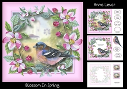 Blossom In Spring