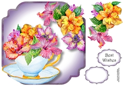 Gorgeous Hibiscus Blooms - Teacup & Saucer