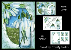 Snowdrops From My Garden