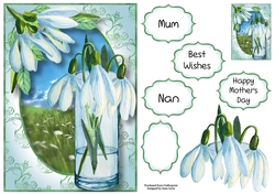 Snowdrops From My Garden A5