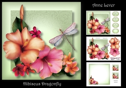 Hibiscus Dragonfly