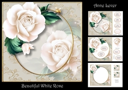 Beautiful White Rose