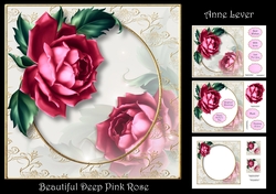 Beautiful Deep Pink Rose