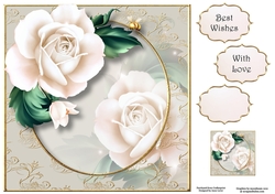Beautiful White Rose 8x8