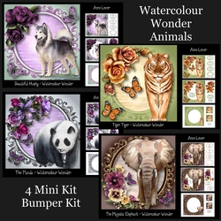 Watercolour Wonder - Animals Bumper Kit