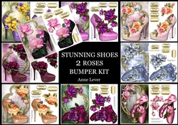 Stunning Shoes 2 Roses Bumper Kit