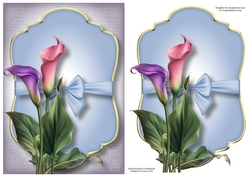 Gold Edged Mat & Bow - Calla Lilies