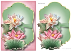 Gold Edged Mat & Bow - Lovely Lotus