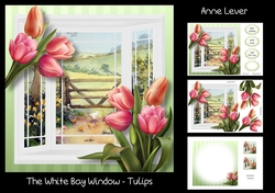 The White Bay Window - Tulips