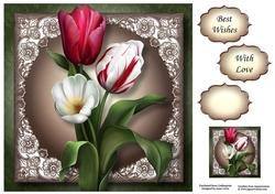 Vibrant Tulips 8x8