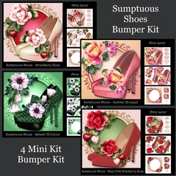 Sumptuous Shoes Bumper Kit