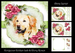 Gorgeous Golden Lab & Glory Roses