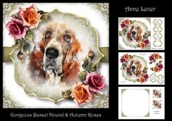 Gorgeous Basset Hound & Autumn Roses