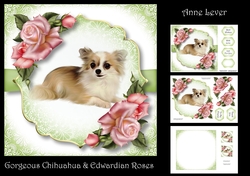 Gorgeous Chihuahua & Edwardian Roses