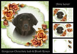 Gorgeous Chocolate Lab & Blush Roses
