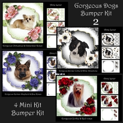 Gorgeous Dogs Bumper Kit 2