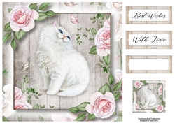 The White Cat & Pink Roses 8x8