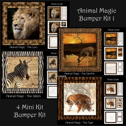Animal Magic Bumper Kit 1