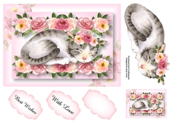 Pretty Sleeping Kitty A5