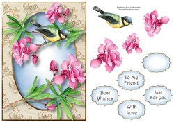 Beautiful Blue Tit & Blooms