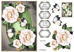 Beautiful White Camelias A5