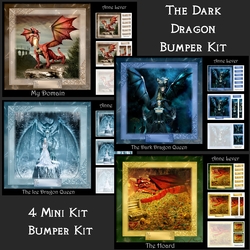 The Dark Dragon Bumper Kit