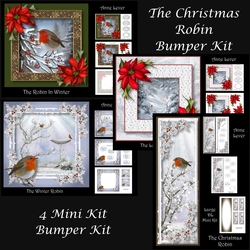 The Christmas Robin Bumper Kit