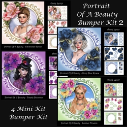 Portrait Of A Beauty Bumper Kit 2