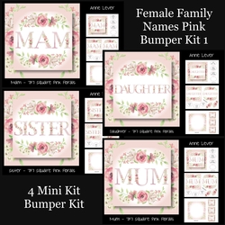 Female Family Names Pink Bumper Kit 1