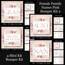Female Family Names Pink Bumper Kit 2