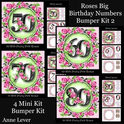 Roses Big Birthday Numbers Bumper Kit 2