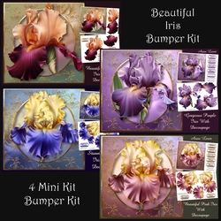 Beautiful Iris Bumper KIt