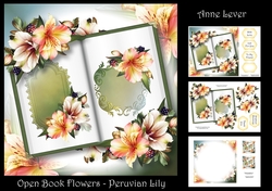 Open Book Flowers - Peruvian Lily